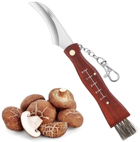 DEXYZZY Coltello a Funghi Con Spazzola, Coltello Micologica Manico in Legno, Coltello Per Funghi Con Righello, Con Anello Portachiavi, Lama Retrattile Affilata, Spazzola in Setola di Cinghiale