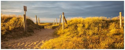Wallario Küchenrückwand selbstklebend 115 x 50 cm, Motiv: Düne am Strand bei Sonnenuntergang in Frankreich | Spritzschutz abwischbar & pflegeleicht