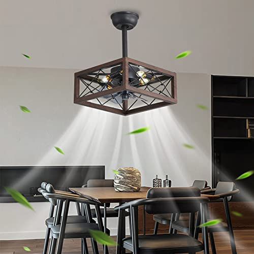 WDENI Caged Ceiling Fan with Lights Remote Control, 14'' Modern Industrial Chandelier Ceiling Fan with Light, Bladeless Ceiling fan Light, DC Motor Reversible.