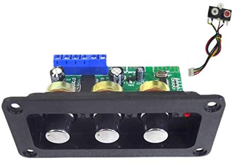 Evenden Power Audio Board Bluetooth 5.0 30 W Mono palcoscenico Power Amplificatore Board, U Disk Decoder con AUX