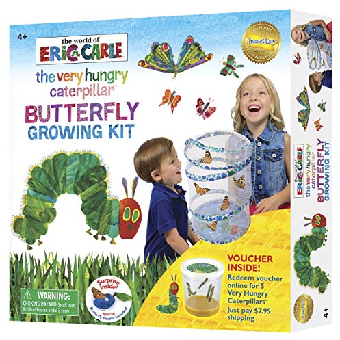 Insect Lore The Very Hungry Caterpillar Butterfly Growing Kit