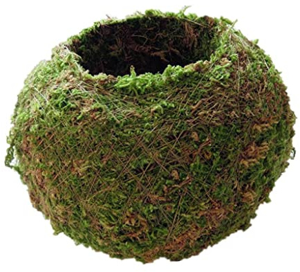 Gralara Mooskugel Bonsai Pflanze Blumentopf Vogelhaus DIY Gartenarbeit Zuhause Tisch Hochzeit Party Dekoration, 18 cm