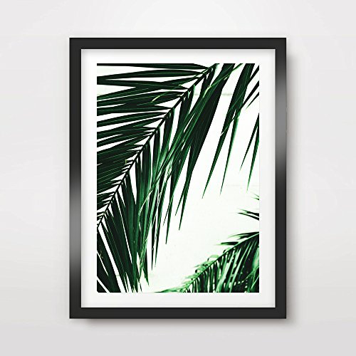 TROPICAL EXOTIC PALM TREE GREEN LEAVES LEAF ART PRINT POSTER Home Decor Wall Nature Photo Picture A4 A3 A2 (10 Sizes)