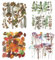 NogaMoga 80 Stück Pflanzen Stickers, Große Scrapbook Aufkleber Eukalyptus Ahornblatt Gypsophila PET Transparente Sticker Set Wasserdichte Dekorative Aufkleber für DIY, Geschenke, Tagebuch, Karten