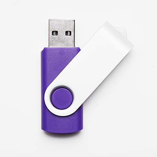 Chiavetta di memoria all'ingrosso del lotto dell'unità flash USB 2.0 viola da 64GB