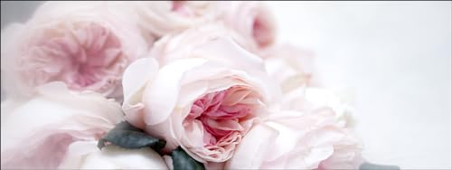 Pro-Art Glasbild Pink Roses, 30x80 cm