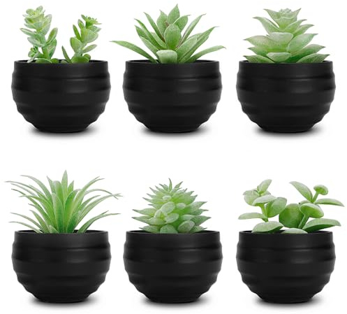 Der Rose Set of 6 Succulent Artificial Plants in Pots, Small Artificial Plants for Bedroom, Room, Living Room, Bathroom, Room Decoration