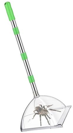 Professionelle Wespen Erfassen Gerät 32 Zoll Einstellbares Für Spinnenentfernung Home Camping Falle Mit Ergonomischem Design