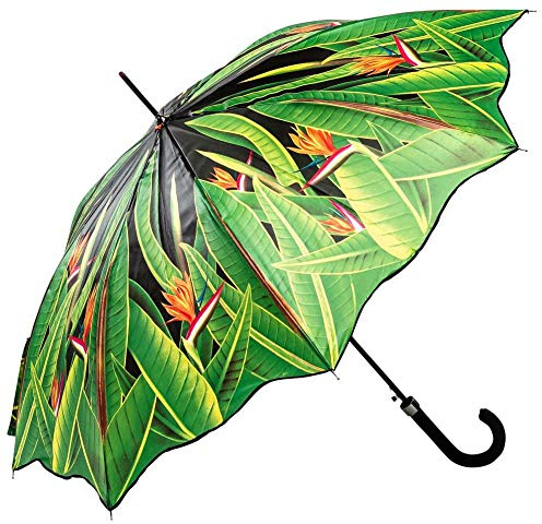 LUCKYWEATHER Regenschirm Stockschirm Damen Motiv Strelitzien Auf-Automatik I Stockregenschirm groß und stabil sowie hochwertig verarbeitet I Regenschirme mit UV-Schutz