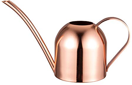 IMEEA 15oz/450ml Mini Watering Can Indoor for Kids House Desk Office Plants Bonsai Stainless Steel (Rose Gold)