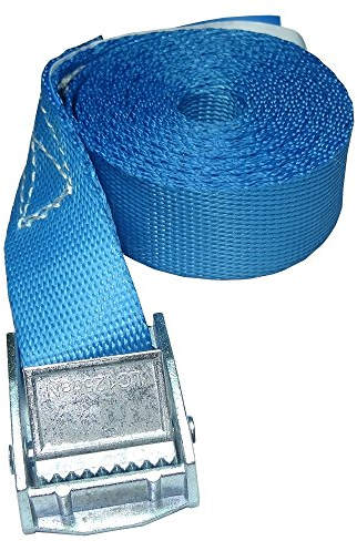 ZurrTec 10 x 250 kg daN 1m Profi Spanngurte mit Klemmschloss 25mm Spannriemen Befestigungsriemen DIN EN 12195-2 (Blau)