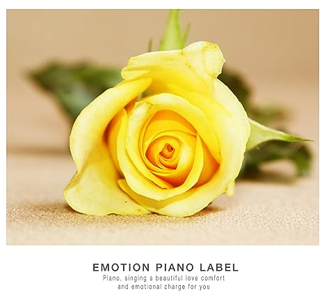 Warm emotional piano wipes away the flowing tears