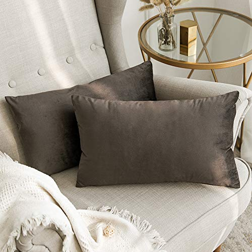 MIULEE 2er Set SAMT Kissenbezug Kissenhülle Dekorative Dekokissen Sofakissen Lendenkissen Wurfkissenbezug mit Verstecktem Reißverschluss Sofa Schlafzimmer 12x 20 Inch 30 x 50 cm Dunkle Taupe