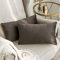 MIULEE 2er Set SAMT Kissenbezug Kissenhülle Dekorative Dekokissen Sofakissen Lendenkissen Wurfkissenbezug mit Verstecktem Reißverschluss Sofa Schlafzimmer 12x 20 Inch 30 x 50 cm Dunkle Taupe