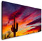 Kaktus im Sonnenuntergang 120x 60cm Panorama Leinwand Bild XXL Format Wandbilder Wohnzimmer Wohnung Deko Kunstdrucke