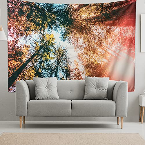 riijk Wandteppich Wald groß 200x150cm. Motiv „Wald Himmelblick“. Auch als Spielteppich. Großes Wandtuch für tolle Raum-Atmosphäre