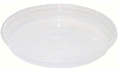 Acan Tradineur - Plato Transparente para Maceta, Bandeja de plástico, platillo Redondo para Tiesto de Interior, Exterior, jardín, terraza o balcón, Ø 19,7 cm