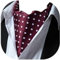 HISDERN Krawattenschal Herren Burgund Paisley Ascot Krawatte Hochzeit Elegant Gepunktete Krawatten für Business Halstuch