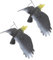ifundom 2Stücke Imitiertes Adler Modell zur Vogelabwehr Garten Deko und Pädagogisches Langlebiges Material zur Effektiven Vogelvertreibung