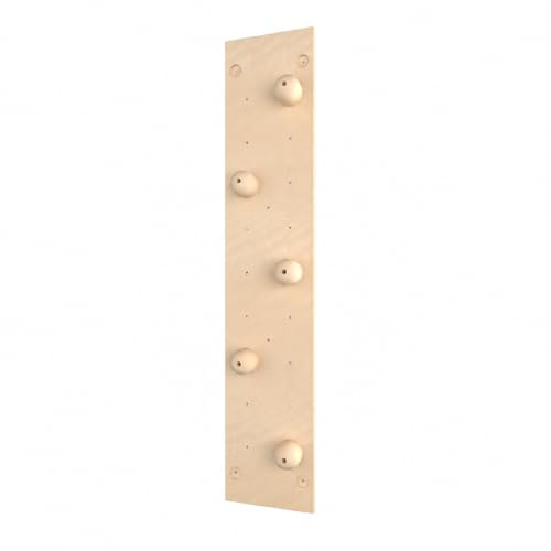 JISADER Sprossenwand für Erwachsene & Jugendliche, Klettergerüst für den Innenbereich 1.22×2.44m, Turnwand mit Kletterwand & Gymnastikringen, Grip Sphere Board