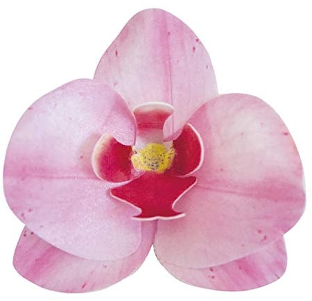 dekora – Essbare Blumen für Torten, Esspapier-Tortendeko, 10 rosa Orchideen 8,5 x 7,5 cm, ohne Zucker, glutenfrei, laktosefrei, Tortendeko essbar für Hochzeit, Geburtstag und Taufe