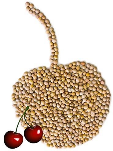Kirschkerne - 10kg - Kerne für Körnerkissen Wärmekissen Kirschkernkissen