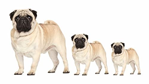 AdriLeo - Aufkleber 3er-Set - Mops - Deko Autoaufkleber Sticker Hund