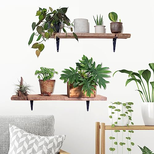 COVPAW Wandtattoo Pflanzen Tropische Blätter Wandaufkleber Blumen Baum Schmetterlingen Hängende Pflanzen Grün Wandsticker Kinderzimmer Wohnzimmer Schlafzimmer Flur Wanddeko