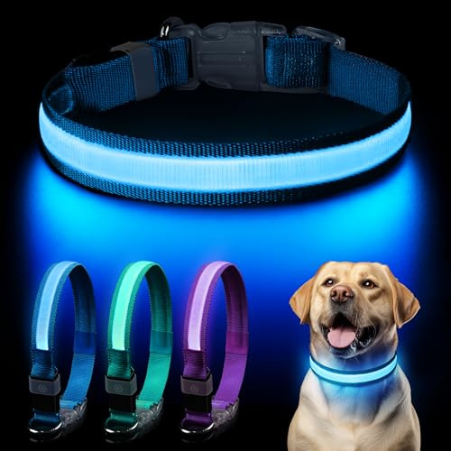 Pewkim Leuchthalsband Hund Aufladbar – LED Hundehalsband mit 3 Lichtmodi, Leuchtband für kleine, mittlere und große Hunde, Spritzwassergeschützt, Verstellbar, Ideal für Nachtspaziergänge Blau M