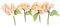 4 X Pastel Peach and Yellow Rose Flower Anniversary Wedding Cake Spray Sugar Paste Topper 4 mini Sugar Flower Sprays