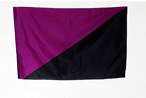 AZ FLAG - Flagge Anarchafeminismus - 90x60 cm - Anarchafeministische Fahne 60 x 90 Cm Scheide Für Mast - Flaggen