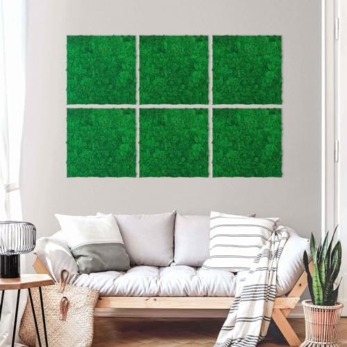 Bilderwelten Moosbild Akustik-Paneel Fichtengrün 2 Stk. 52x52 cm echte konservierte Mooswand Moos Akustik Platte Wand Panel Wohnzimmer Schlafzimmer
