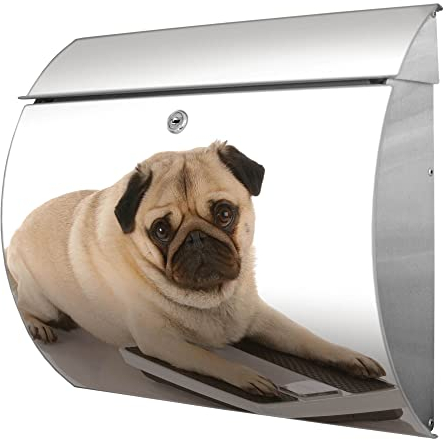 banjado® Burgwächter® Briefkasten Edelstahl mit Motiv Mops/Briefkasten ohne Zeitungsfach/Edelstahl Briefkasten mit Kippdach & Öffnungsstopp, 2 Schlüssel