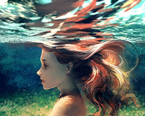 TOCAVE Peindre par Nombre Peinture par numéro Décoration personnalisée numérique pour la Maison de Filles Acrylique Peint à la Main Peinture d'art 40x50cm