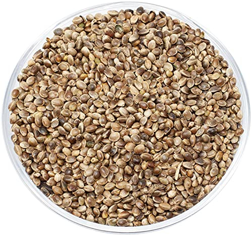 Leimüller Hanfsamen Hanfsaat europäisch 20 kg | Futter-Hanf Pferdehanf für Pferde, Ponys und Vögel | Fördert die Tiergesundheit | Hoher Gehalt an Omega-3-Fettsäuren | Ohne Zusätze