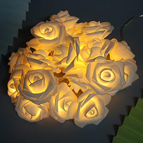 Dioche Rose Blume Lichterketten - 3 Meter 20LED USB Künstliche Blumen Lichterkette für Valentinstag Hochzeitstag Geburtstagsfeier Schlafzimmer Dekoration (Weiß)