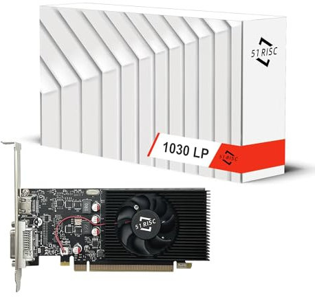 51RISC GT 1030 - Scheda grafica GDDR5 SFF a basso profilo, 2 GB, per giochi da ufficio, display video 4K, scheda grafica LP (GT 1030 GDDR5 2G a basso profilo)