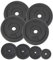 ALPIDEX Hantelscheiben Set Gewichte Gusseisen 5 kg | 10 kg | 15 kg | 20 kg Gewichtsscheiben 30 mm Hantelgewicht, Farbe:4 x 5 kg