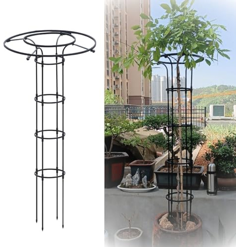 Traliccio da Giardino per Piante Rampicanti Gabbia di Supporto Verticale Antiruggine, Glicine e Rose, 90 120 150 180 210cm Supporto per Fiori da Esterno e Supporto per Arrampicata(Black,HIGH: 210cm/6.