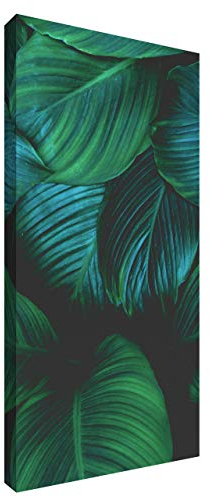 Addictive Sound Akustikpaneele - Akustikplatten und Schallabsorber mit Grafiken - Acoustic Panel Wand - Akustikelemente Bild mit den Maßen 100x50x6 cm - Akustikpaneel Absorber - Nature_4