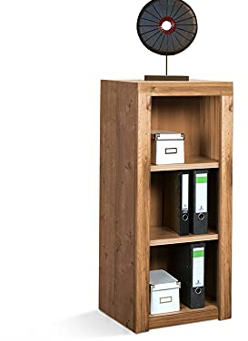 moebel-eins Office Four Aktenregal klein schmal, Material Dekorspanplatte, Wildeiche Nachbildung