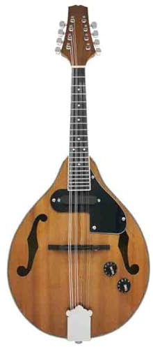 Musical Instrument Eight String Mandolin Electric Model Dark Brown Professional Acoustic Mandolin Instrument(4)