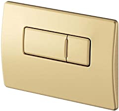 Flush Plate for in Wall Cistern | ABS Plastic | Dual Flush | Rectangle Button | 820mm Brushed Gold