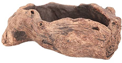 HANABASS Maceta para Suculentas Tallada De Madera De Raíz Maceta para Flores Forma De Raíz Decoración De Escritorio Hogar