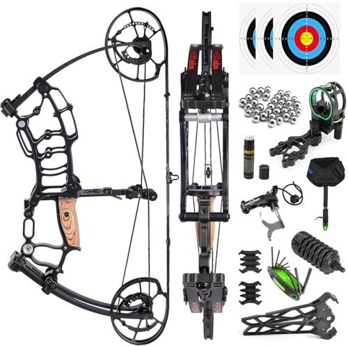 SHARROW Bogenschießen Compound Bogen und Pfeile Set für Erwachsene, Dual-Use Kurzer Achsen Stahl Ball Compoundbogen, 40-70 Lbs Ziehgewicht, IBO 340 fps, Angeln Jagd Bogen Kit (Schwarz-Typ 2)