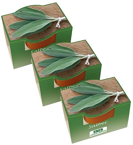 Bull & Bear 3er Set Mini Pflanzset mit Salbei Samen im Topf 4,5cm, Salbeisamen als Anzuchtset mit Pflegeanleitung