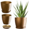 KADAX Élégant Pot de Fleurs, Pot à Plantes avec Soucoupe, Pot de Fleurs Rond, Pot de Fleurs en Plastique, Cache-Pot pour Fleurs, Pot de Fleurs Interieur Ø 16 cm Or