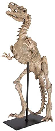 Tyrannosaurus Rex Skelett Modell - Dinosaurier Harz Skala Replik Modell - Handgemachte Dinosaurier Harz Statue für archäologische Tierforschung