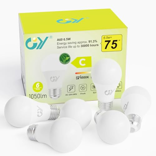 GY E27 Led Kaltweiss Glühbirne, 6.5W 1050LM Energiesparlampe, Ersetzt 75W Halogenlampen, Energieeffizienzklasse C, A60 Led Kaltweiß, Abstrahlwinkel 280°Leuchtmittel, Nicht Dimmbar, 6 Stück