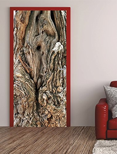 Türposter Baum alt 75x200cm Türfolie Türtapete Natur Wald Rinde 471TP